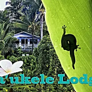 https://maukele-lodge.hotelsinhawaii.org